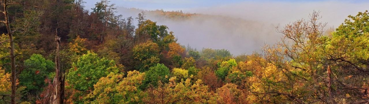Coaching in Suhl � Petra Sievers bietet Biographiearbeit, Life-Coaching, EMDR, Stressabbau und Ressourcenaktivierung f&uuml;r Ihre pers&ouml;nliche Entwicklung